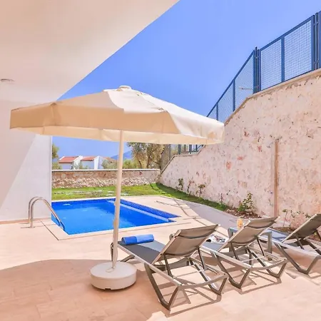 With 2 Swimming Pools 8292 Kalkan